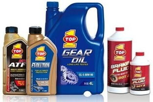 我国主要润滑油企业渠道策略研究