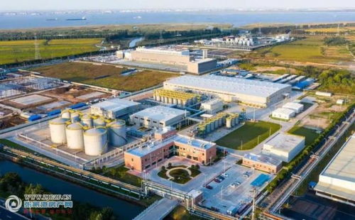 加速推进 张家港保税区胜牌 张家港 润滑油 开米科思新型环保制冷材料项目两大项目蓄势待发